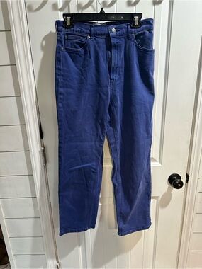Everlane the way high Blue High-Rise Straight Jeans
